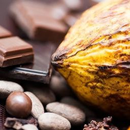 cacao ecuatoriano y oportunidades de crecimiento