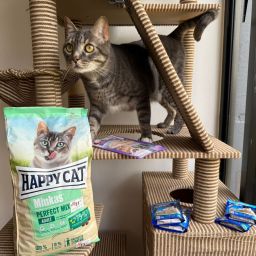 gasto en mascotas en Ecuador y construcción patrimonial