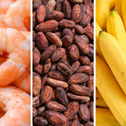 La balanza comercial de Ecuador en 2026: superávit en medio de tensiones, ajustes y señales de desaceleración